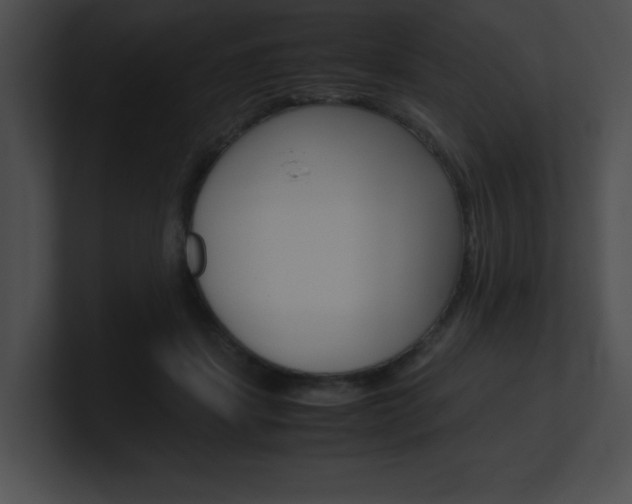 X0000101170459200806270757