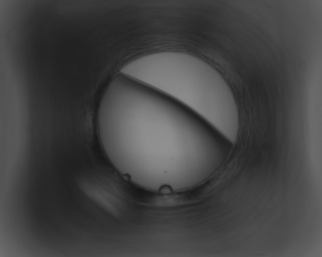 X0000101170461200806270757