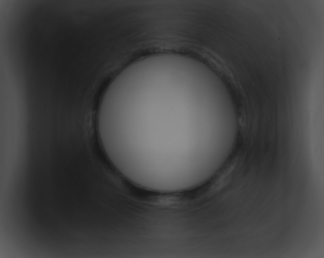 X0000101170462200806270757