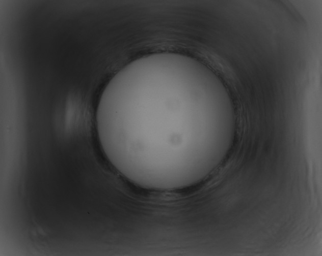 X0000101170463200806270757