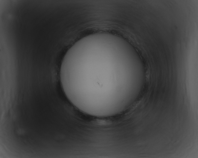 X0000101170464200806270757