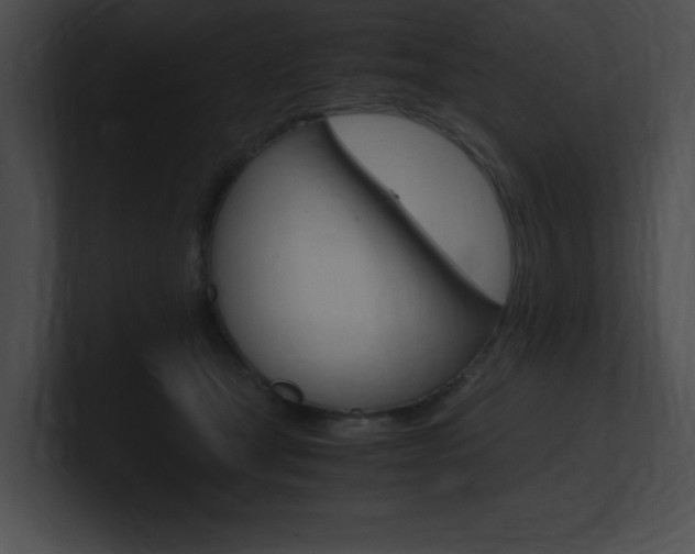 X0000101170465200806270757