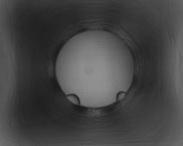 X0000101170469200806270757