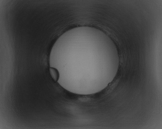 X0000101170470200806270757