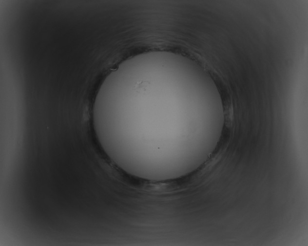 X0000101170472200806270757