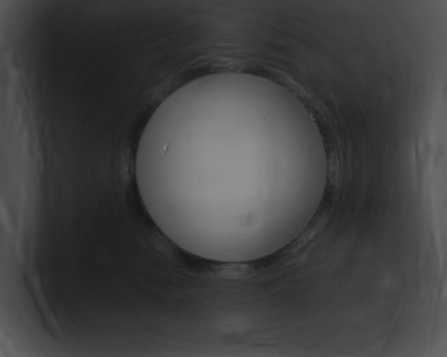 X0000101170474200806270757