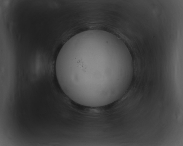 X0000101170475200806270757