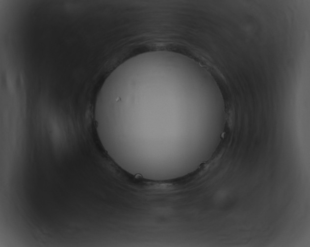 X0000101170476200806270757