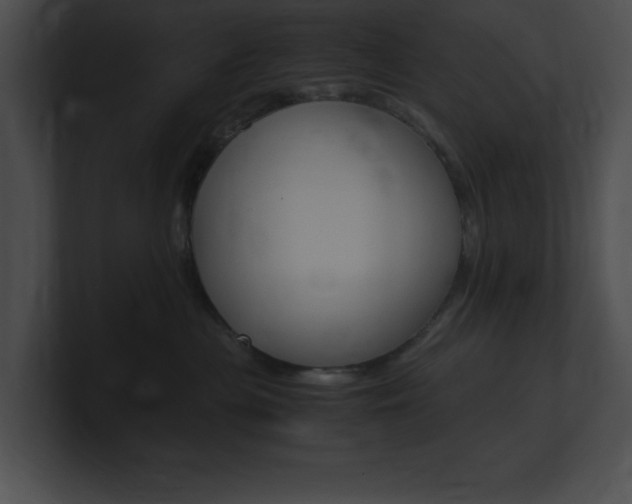 X0000101170477200806270757