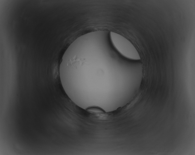 X0000101170478200806270757