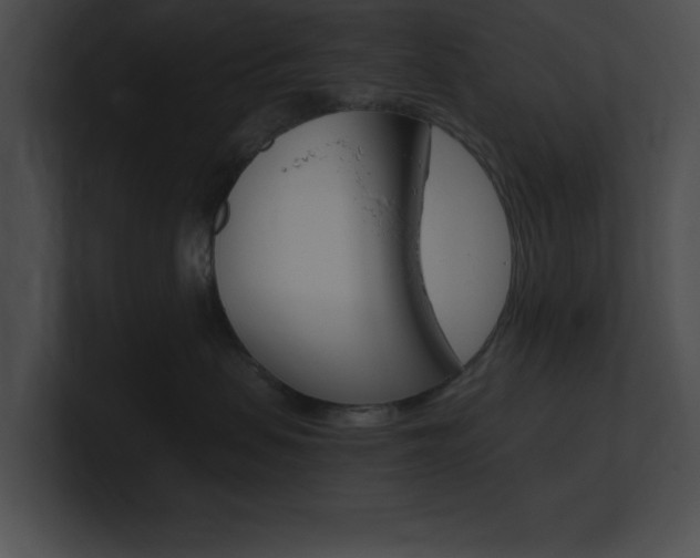 X0000101170479200806270757