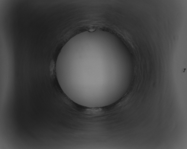 X0000101170480200806270757