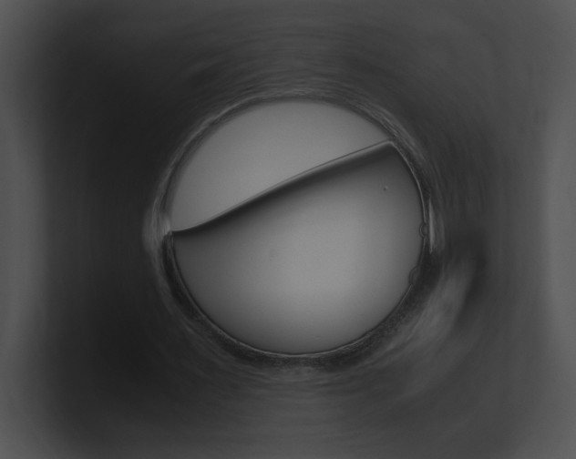 X0000101170483200806270756