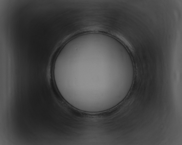 X0000101170486200806270756
