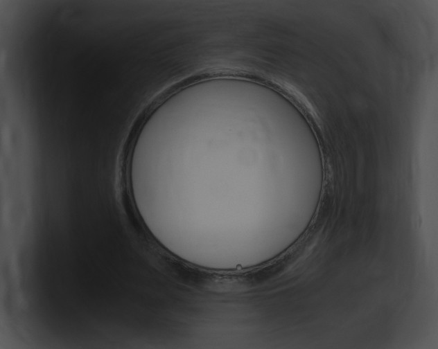 X0000101170487200806270756