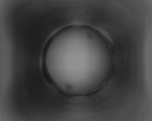 X0000101170488200806270756
