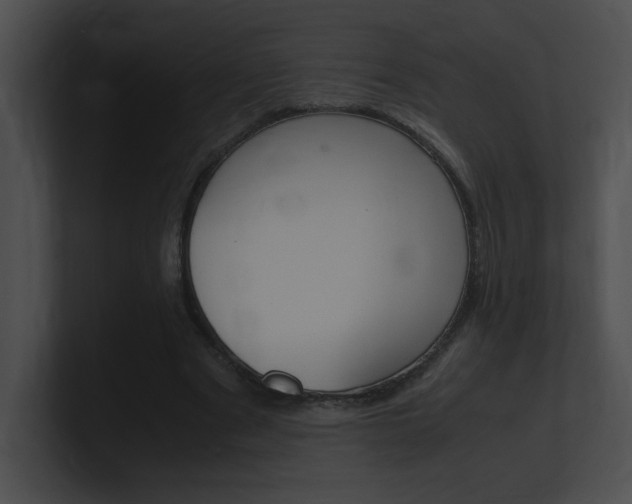 X0000101170489200806270756