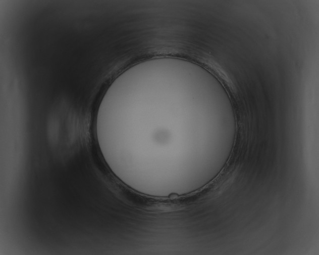 X0000101170490200806270756