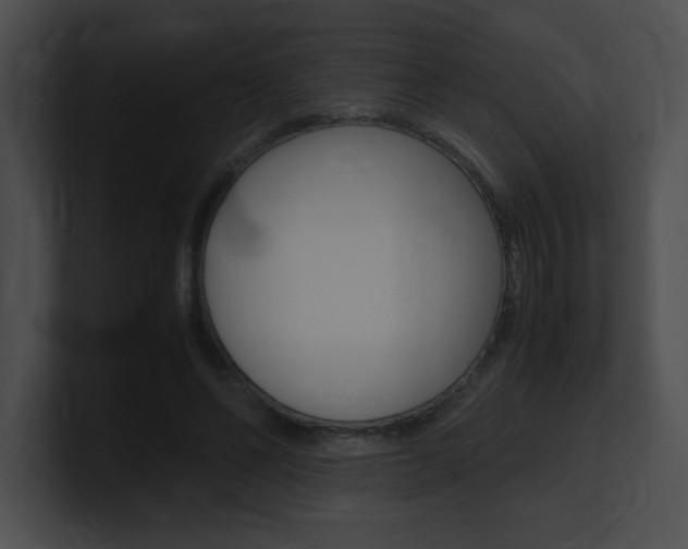 X0000101170494200806270756