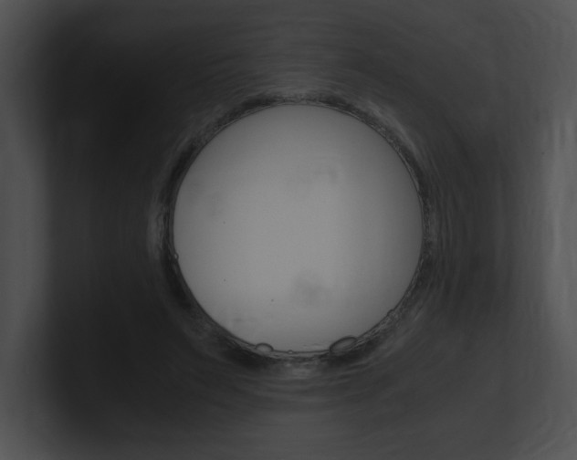 X0000101170495200806270756
