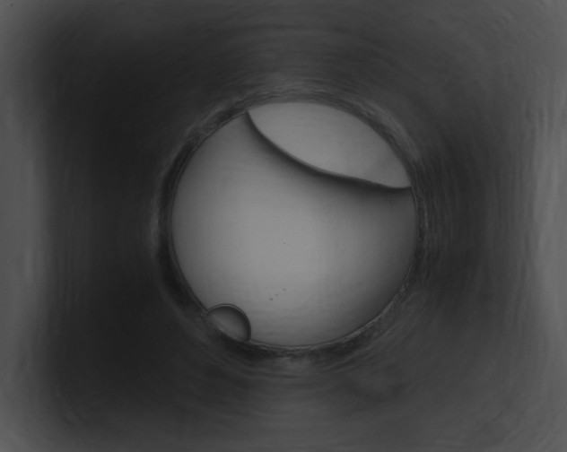 X0000101170496200806270756