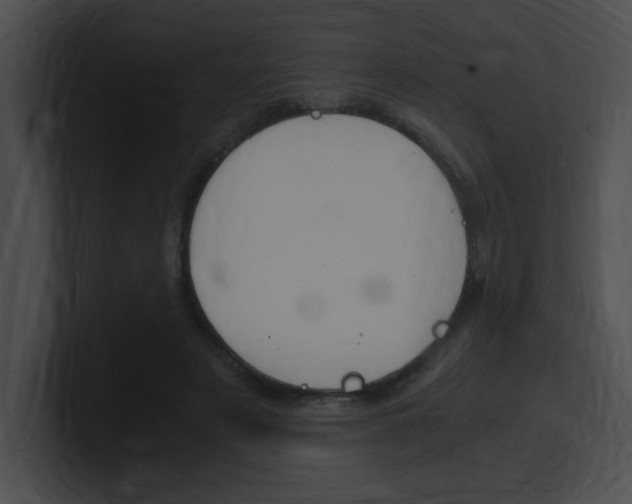 X0000101170497200806270756