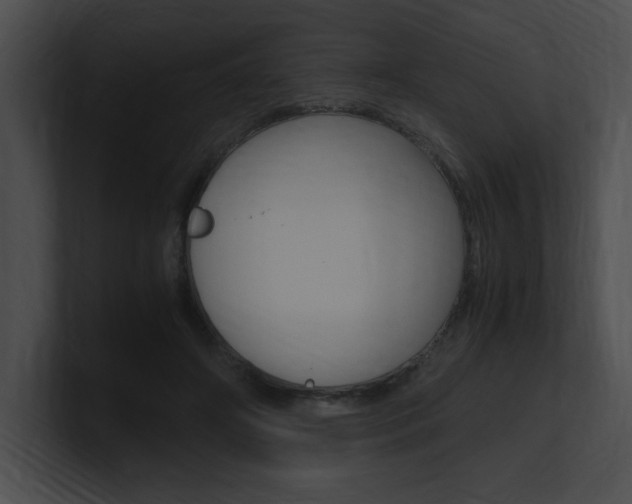 X0000101170498200806270756