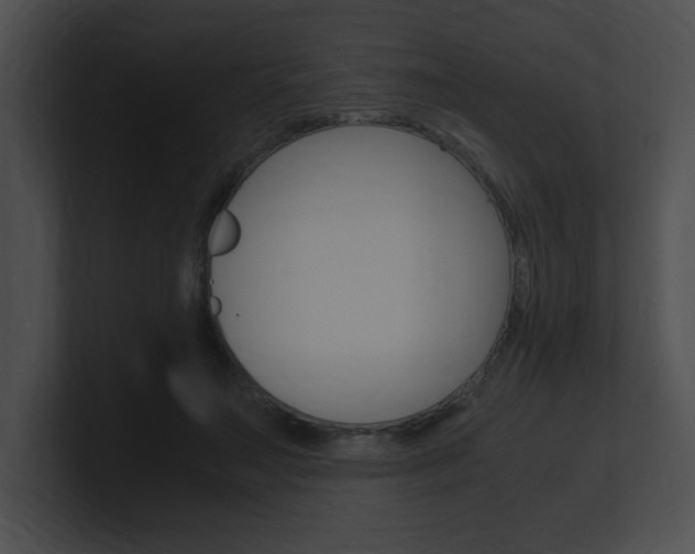 X0000101170499200806270756