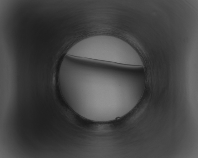 X0000101170501200806270756
