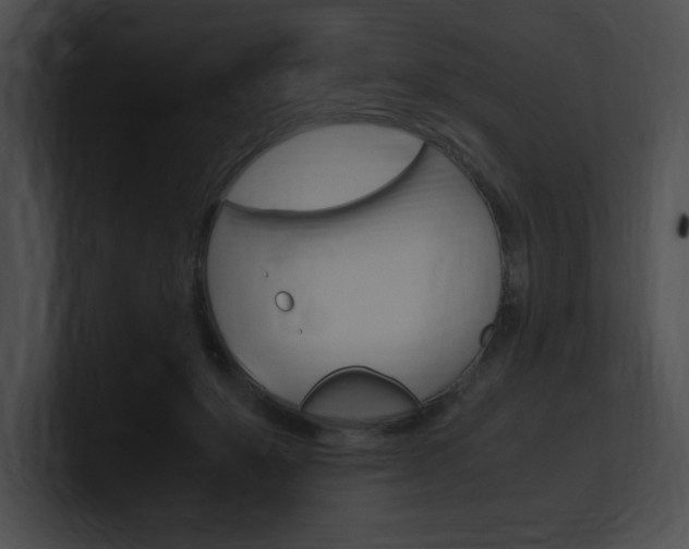 X0000101170503200806270756