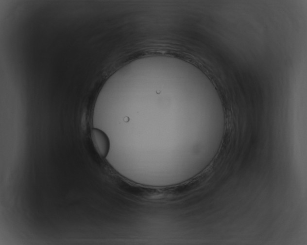 X0000101170504200806270756
