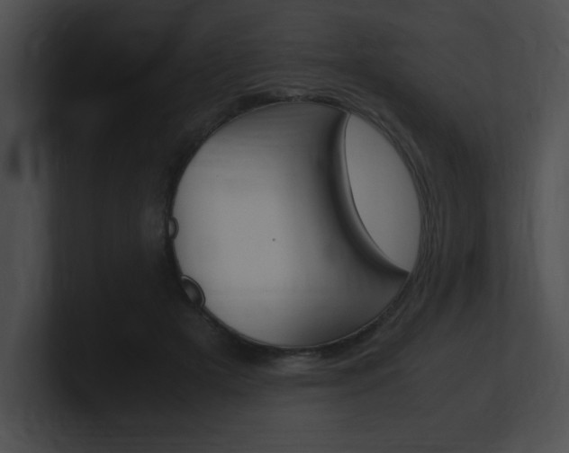 X0000101170505200806270756