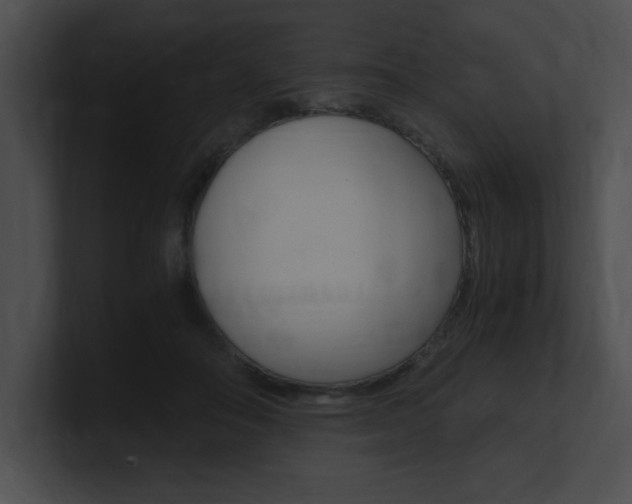 X0000101170506200806270756