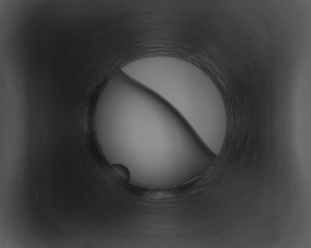 X0000101170512200806270756