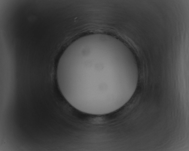 X0000101170513200806270756