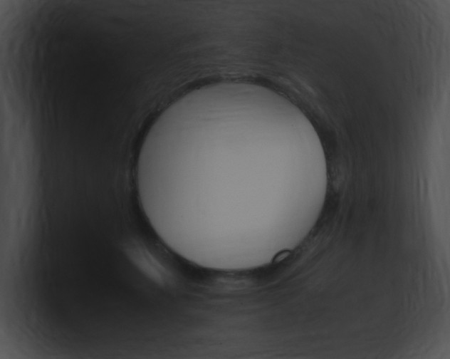 X0000101170515200806270756