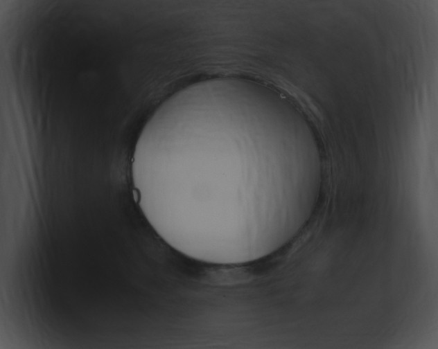 X0000101170517200806270756
