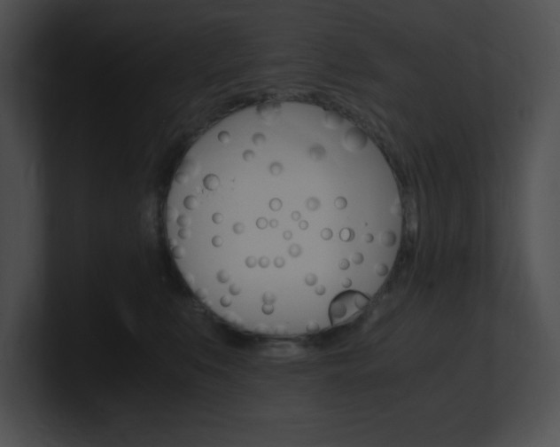 X0000101170519200806270756