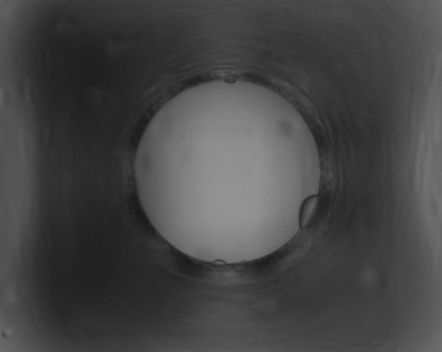 X0000101170523200806270756