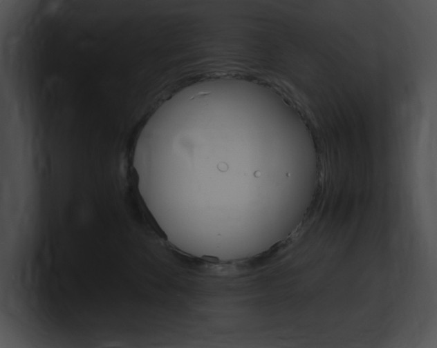 X0000101170524200806270756