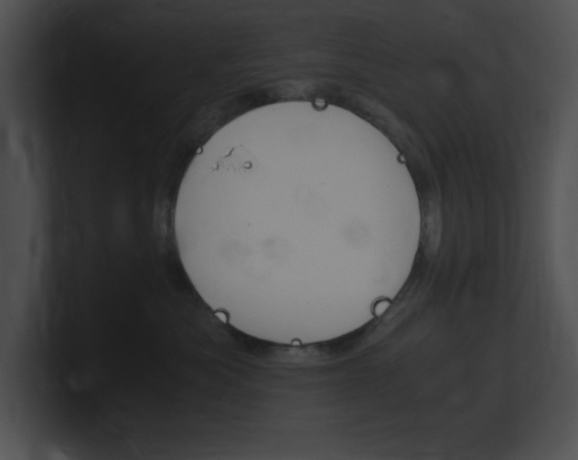 X0000101170525200806270756