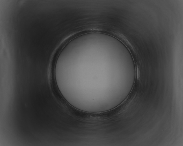 X0000101170531200806270755