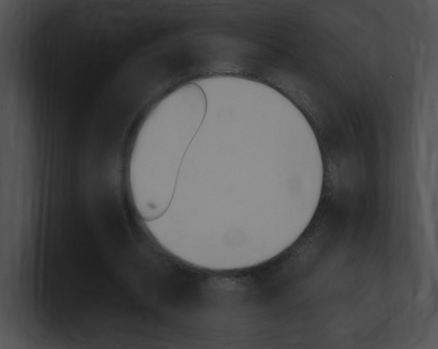 X0000101170534200806270755