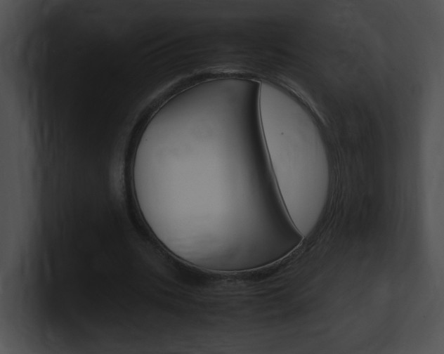 X0000101170535200806270755