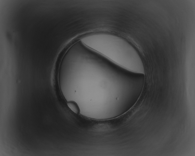 X0000101170536200806270755