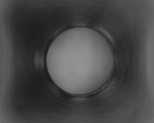 X0000101170537200806270755