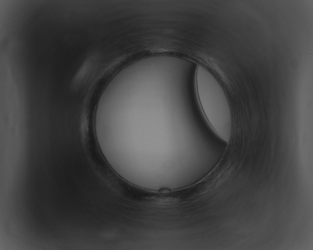 X0000101170539200806270755