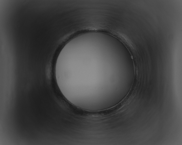 X0000101170540200806270755