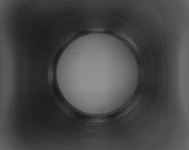 X0000101170541200806270755