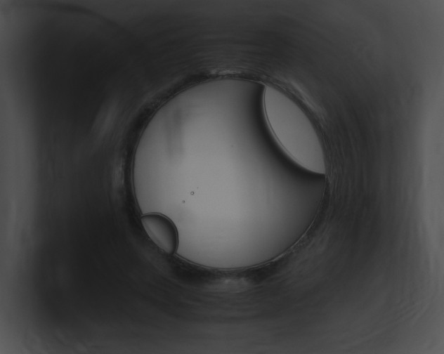 X0000101170543200806270755